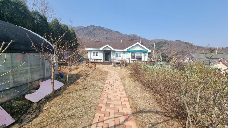 KakaoTalk_20250404_175546864.jpg
