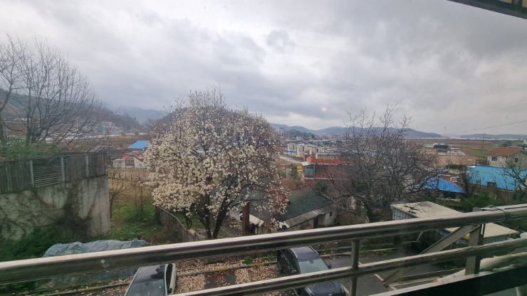 KakaoTalk_20250414_134151345_11.jpg